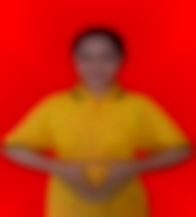 SALFA  ALVIONITA ANANTASYA