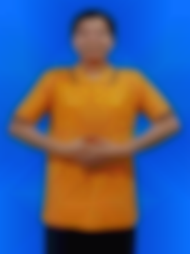 PAN PHYU